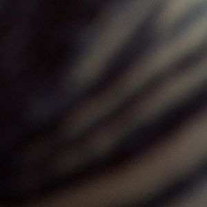 Meet your Posher, Zack